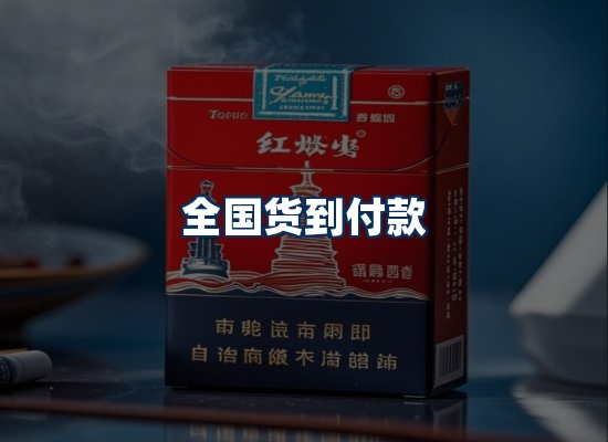 专业团队办公环境